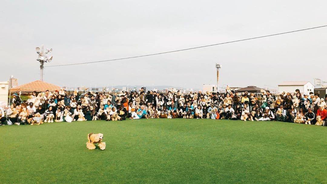 秋だ！みんなで楽しくわらわら会2020