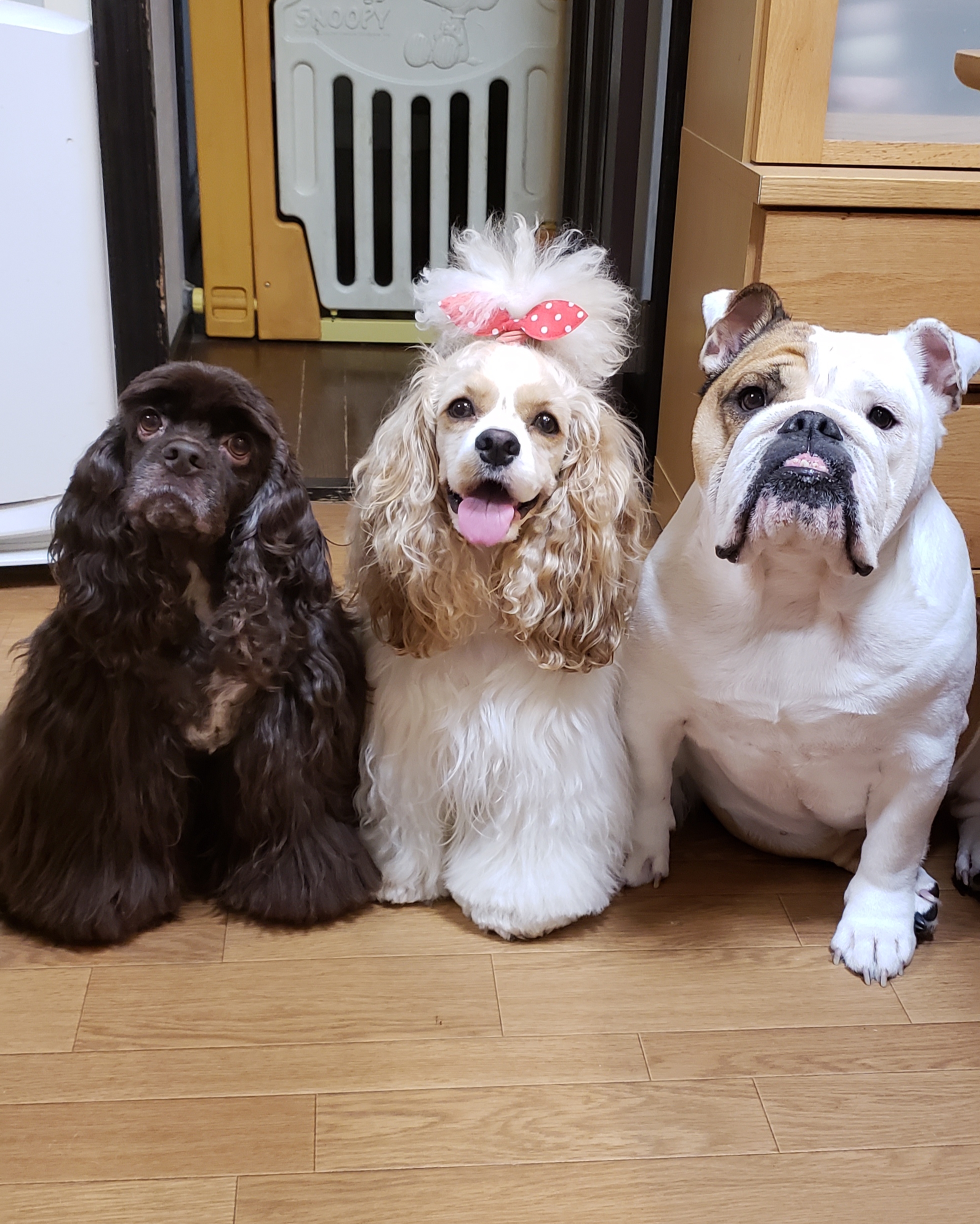 あっちゃんママ