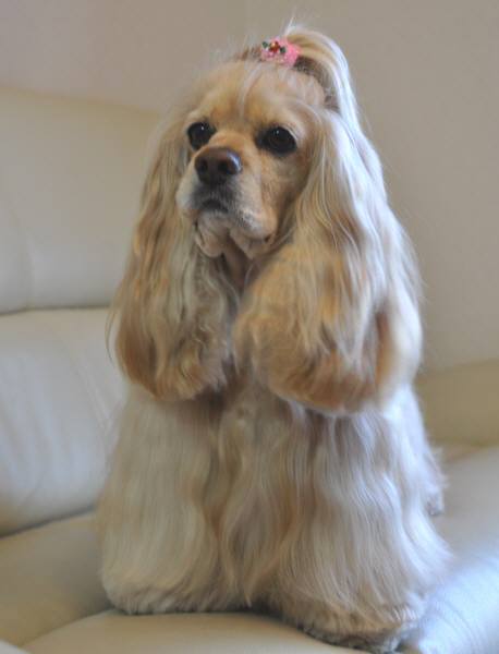 グレイシャスママ