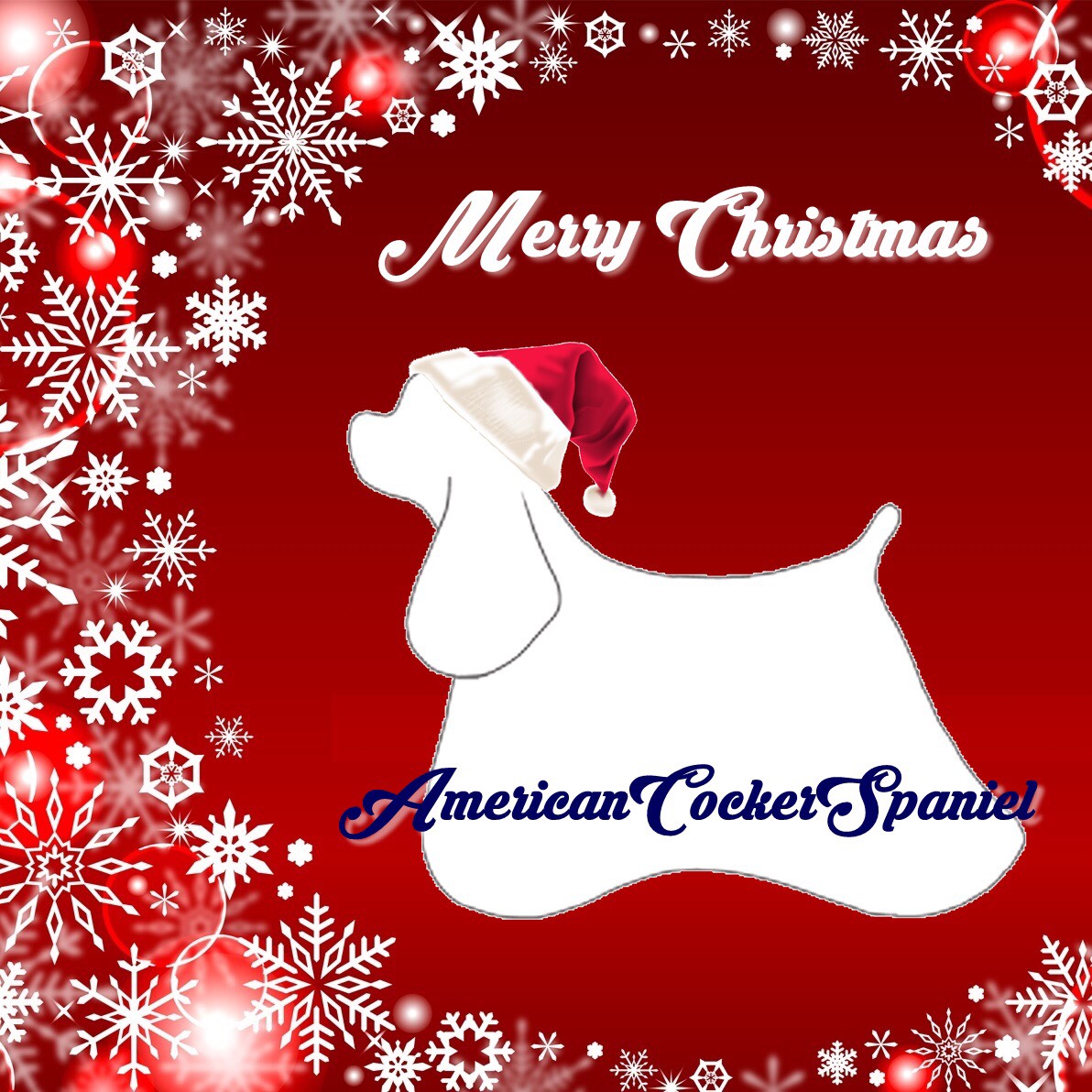 2020年クリスマスわらわら会