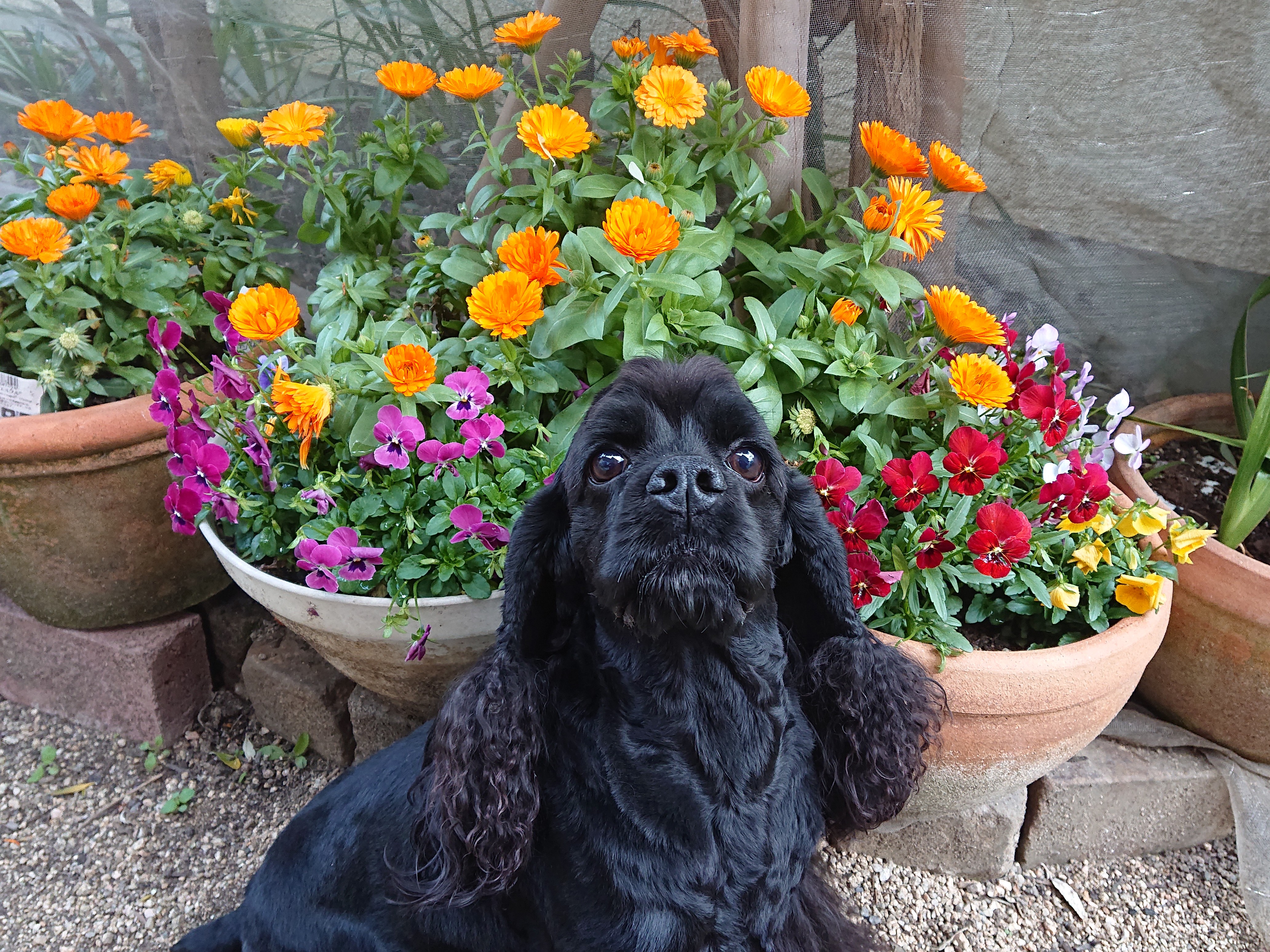 Lunette(ルネット)