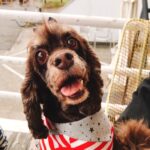 RUFIYAA(るっちゃん)