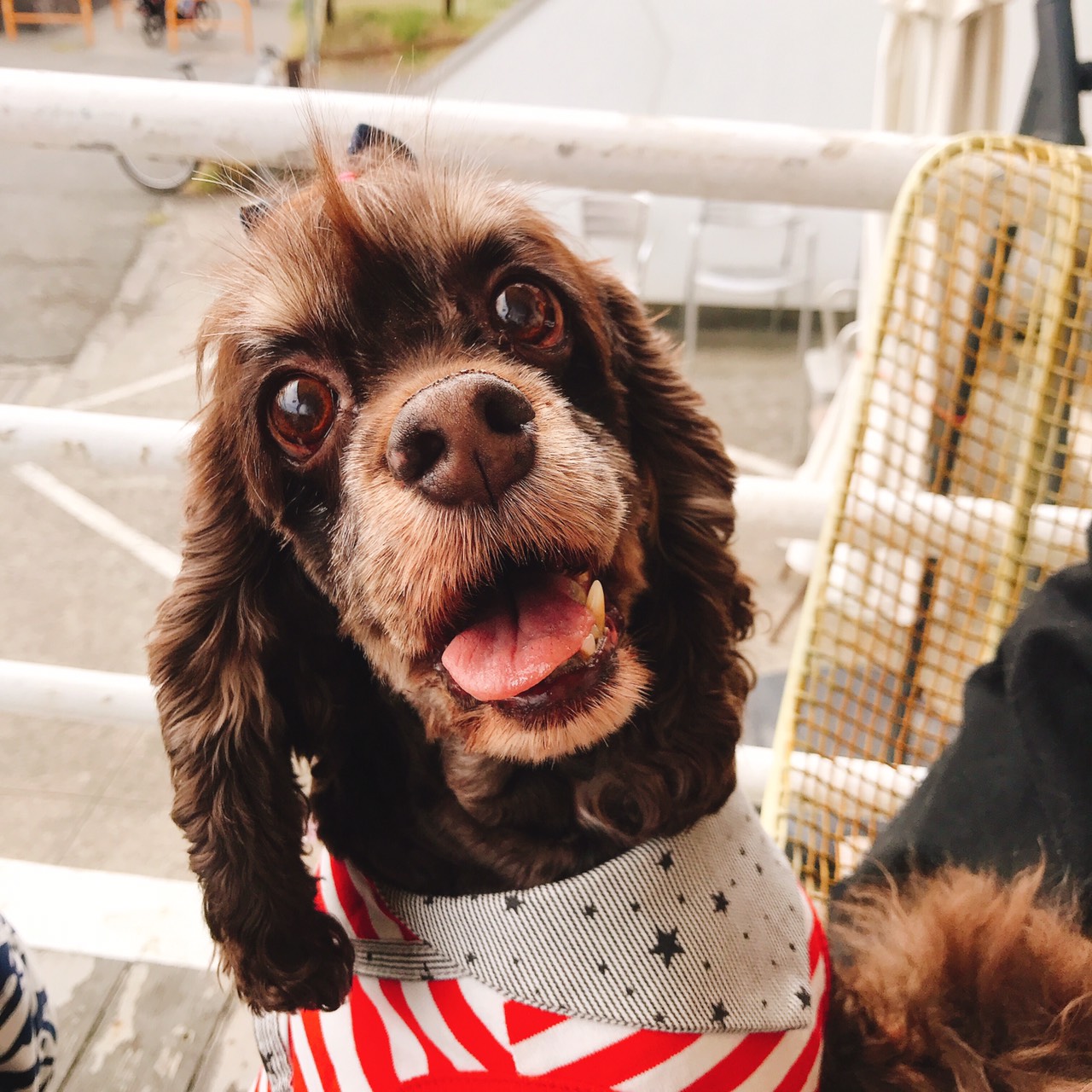 RUFIYAA(るっちゃん)