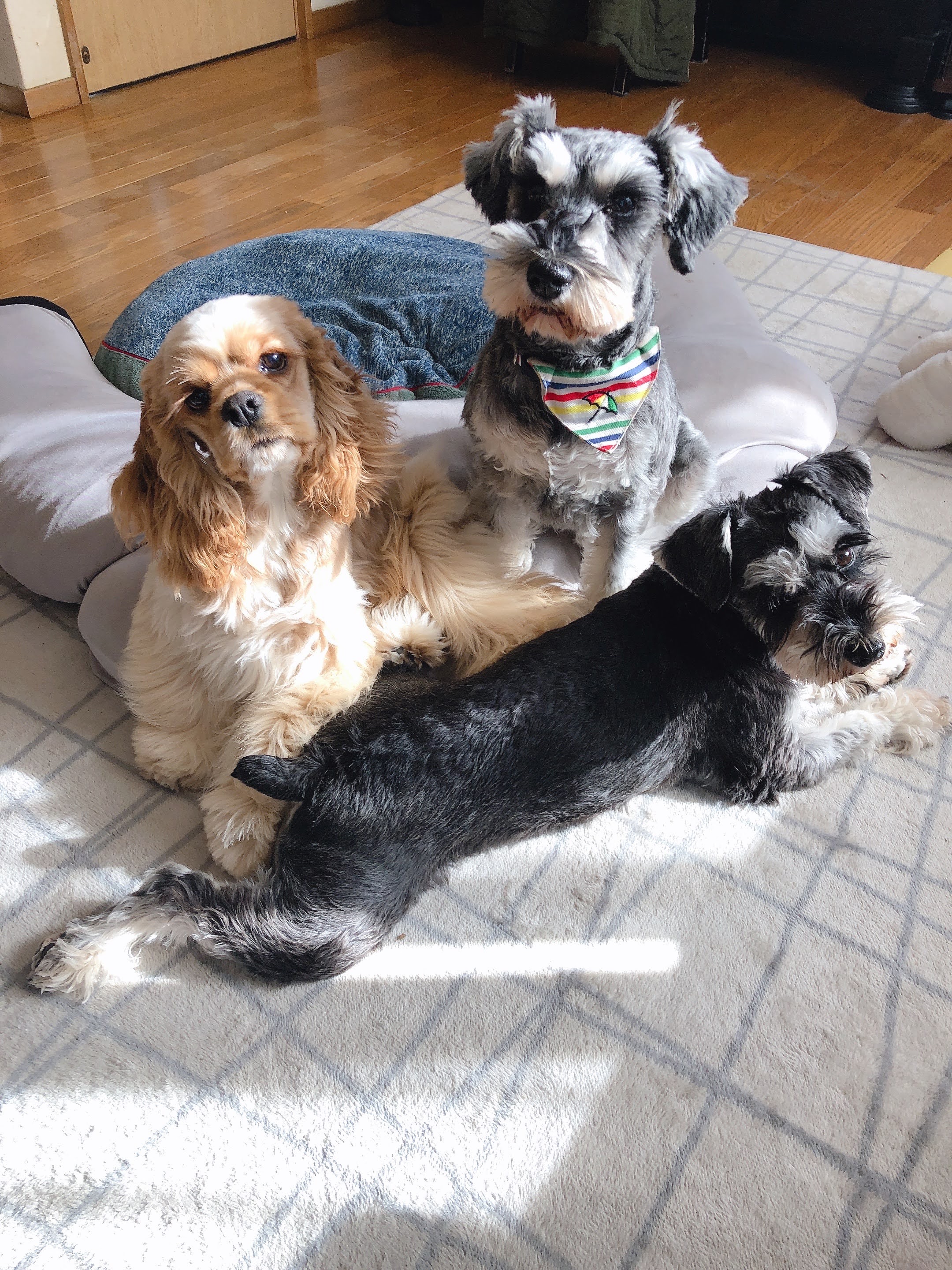 りくファミリー