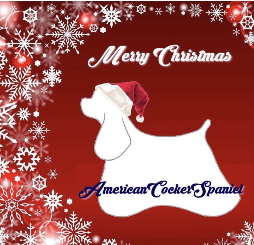 2021年　コッカークリスマス会