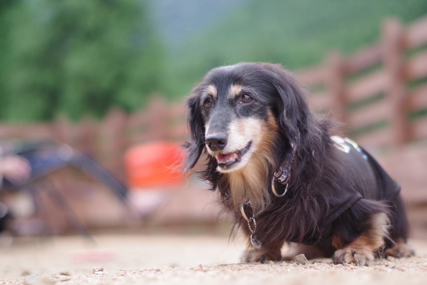 potix（ポチックス）