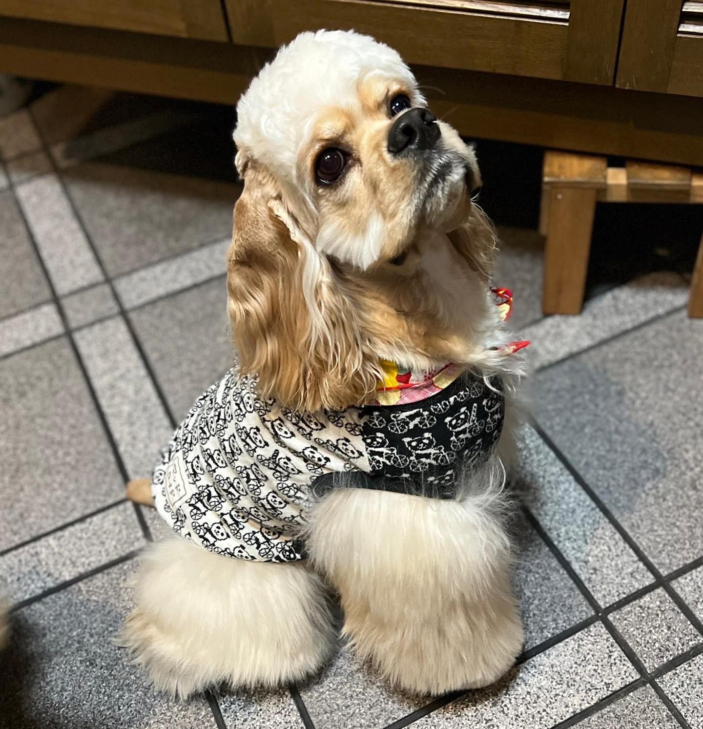 ルカ・ギルベルト・Ⅱ世