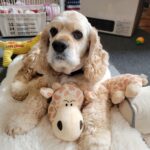 幸太郎(こたろう)