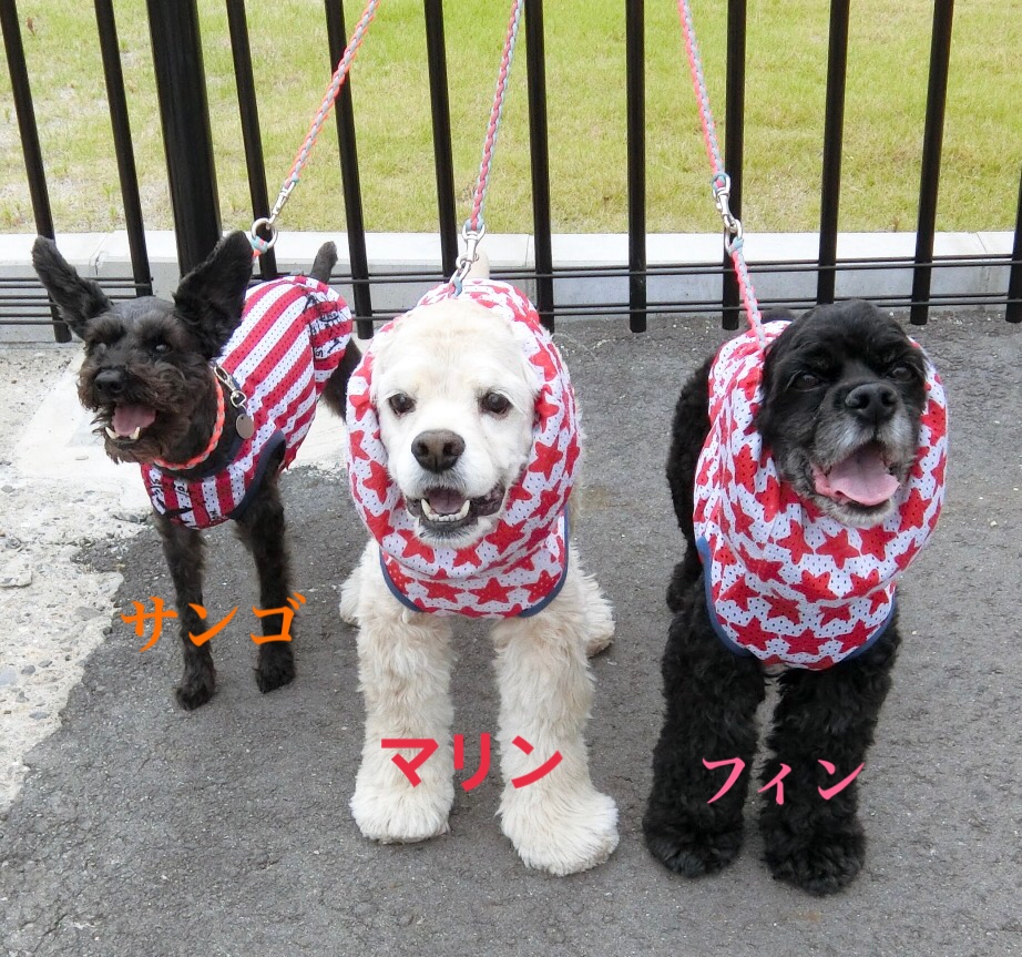 マリンかあさん