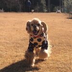 リュンヌ　(LUNE)