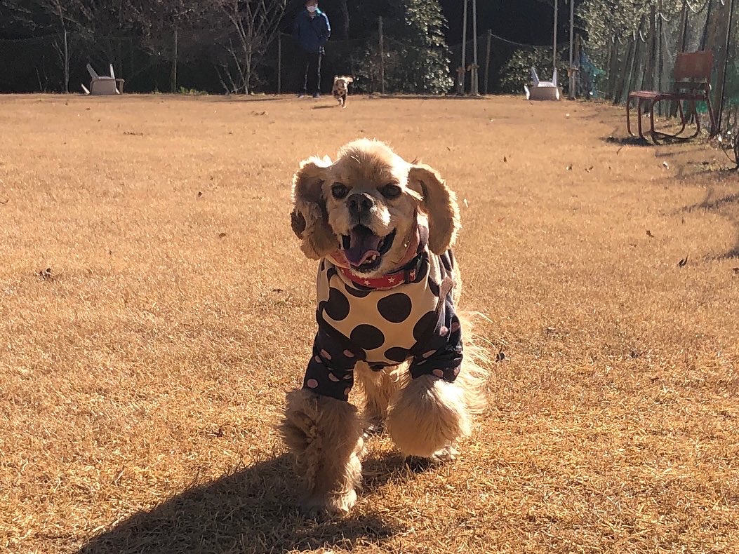 リュンヌ　(LUNE)