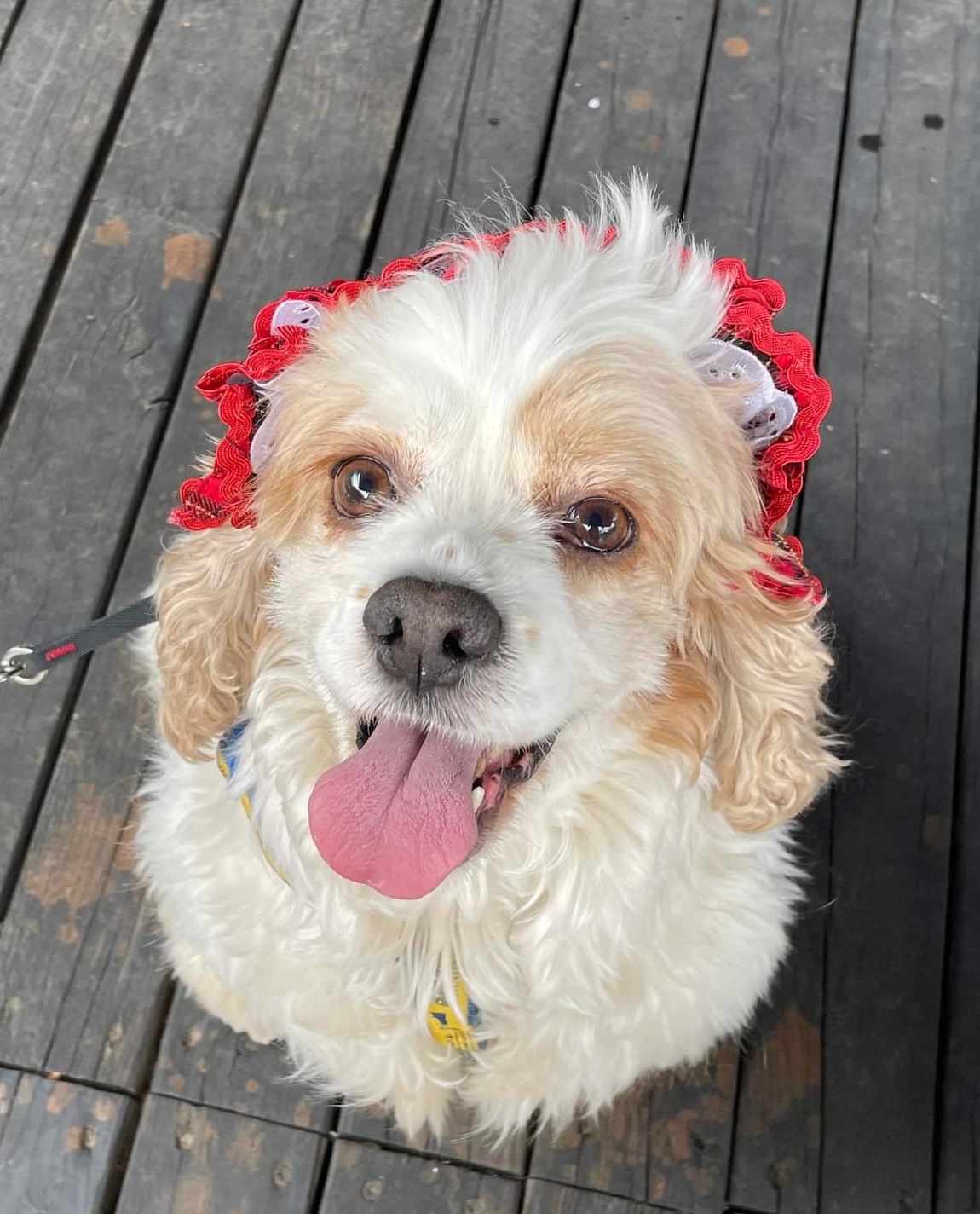 グリとコトとユリ　 三宅良二