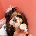 huali （フアリ）