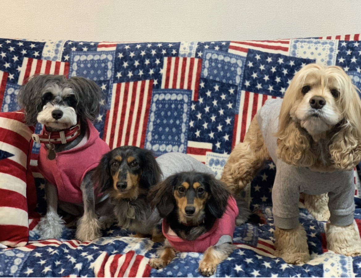 はなこたレオふうこママ