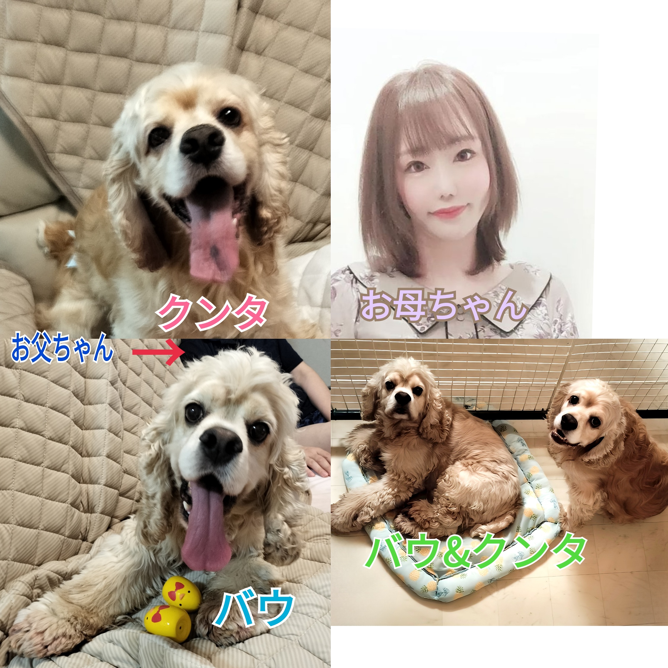 さより(バウ&クンタのお母ちゃん)