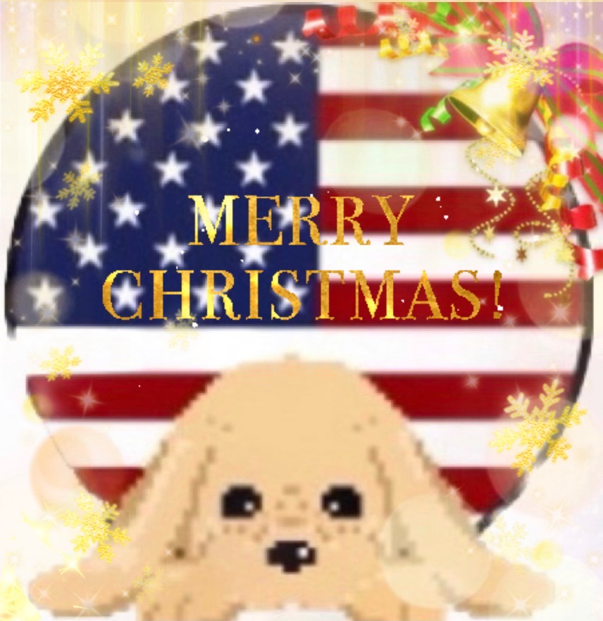 ２０２３年　どっふぃークリスマス会