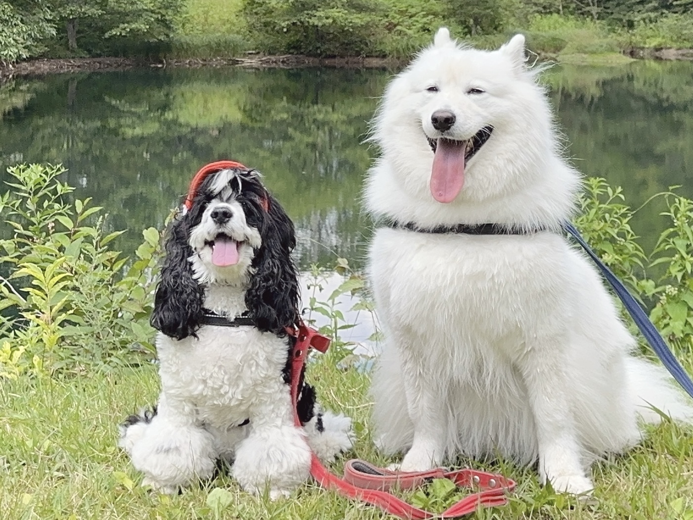 ごまさんともふおさん