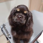 Quatre(キャトル)