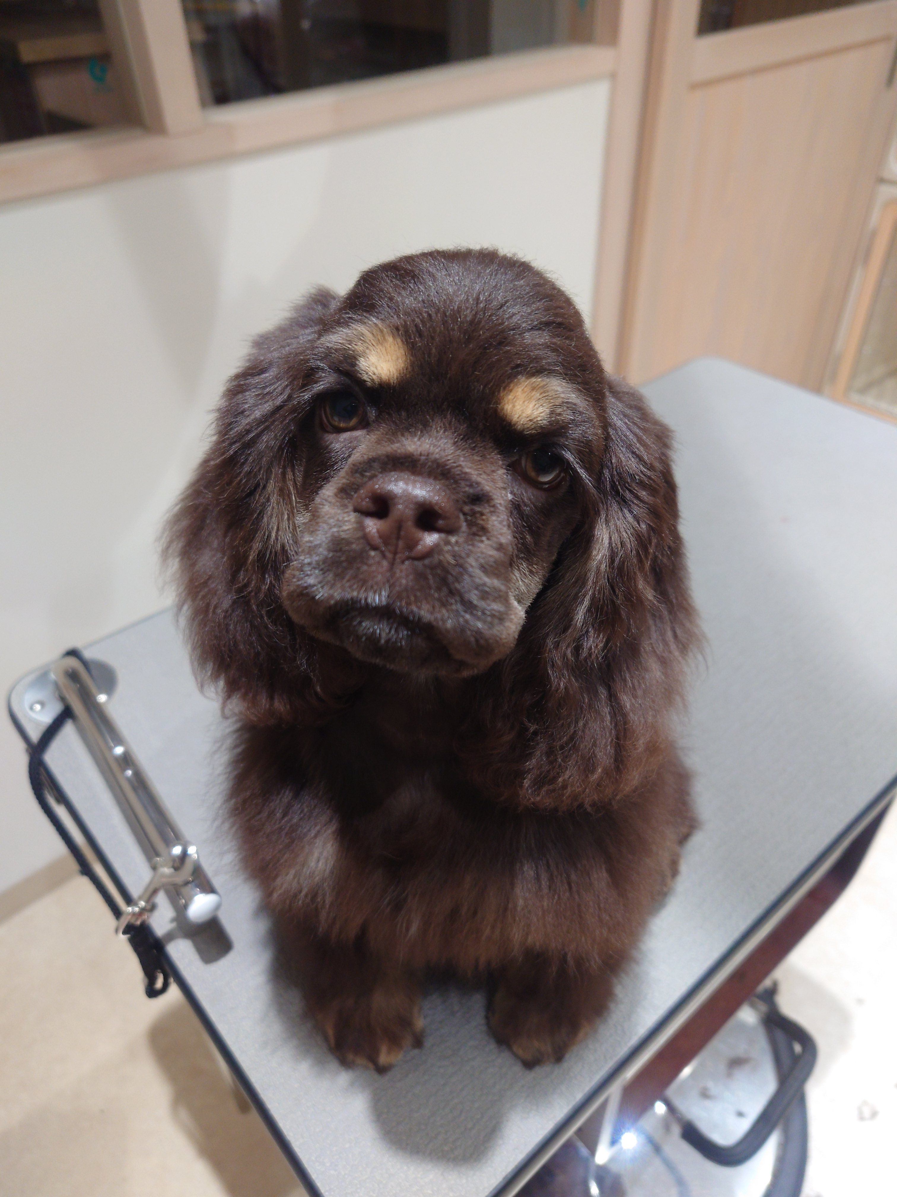 Quatre(キャトル)