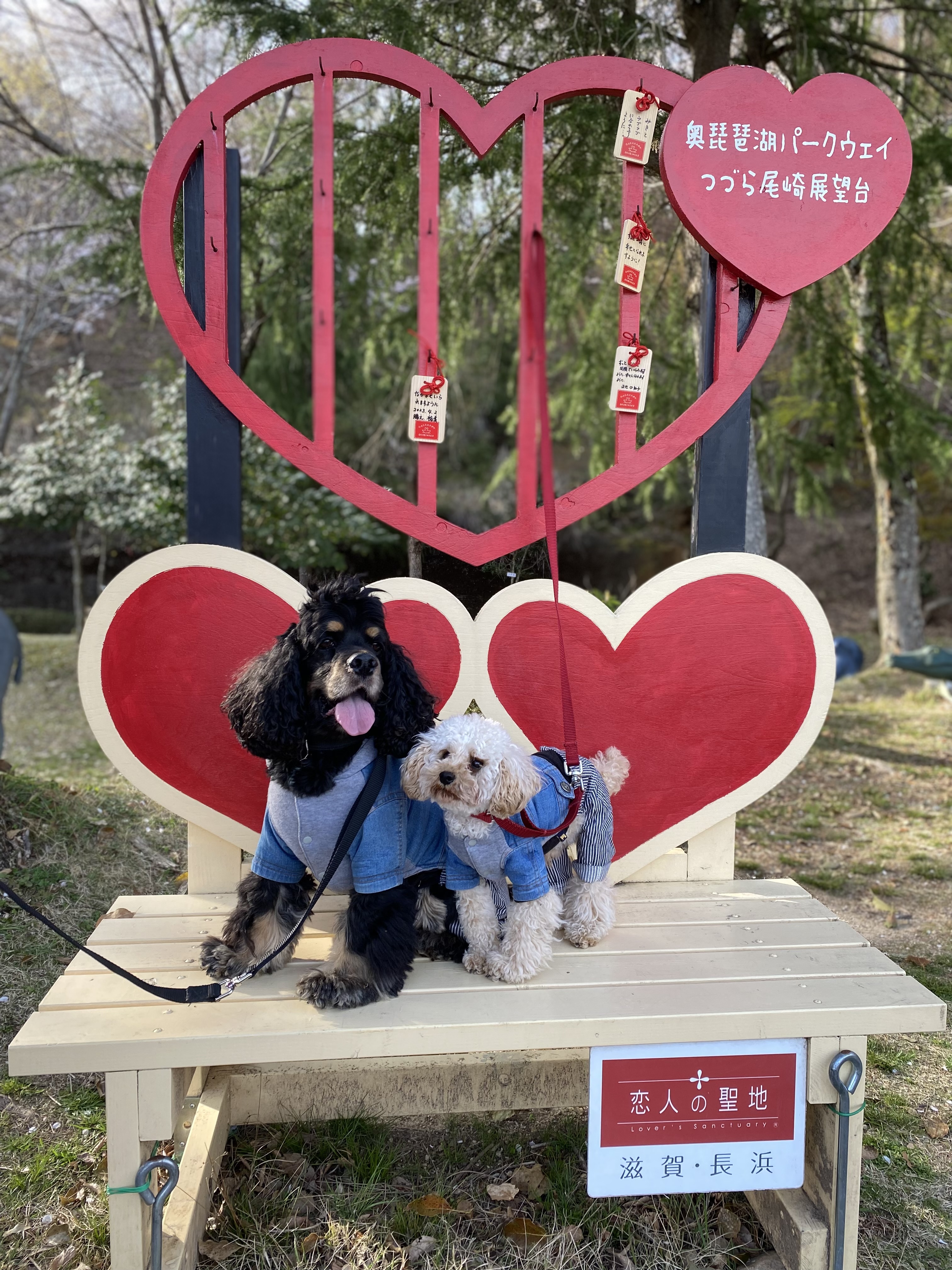 山内和恵(リオンママ)