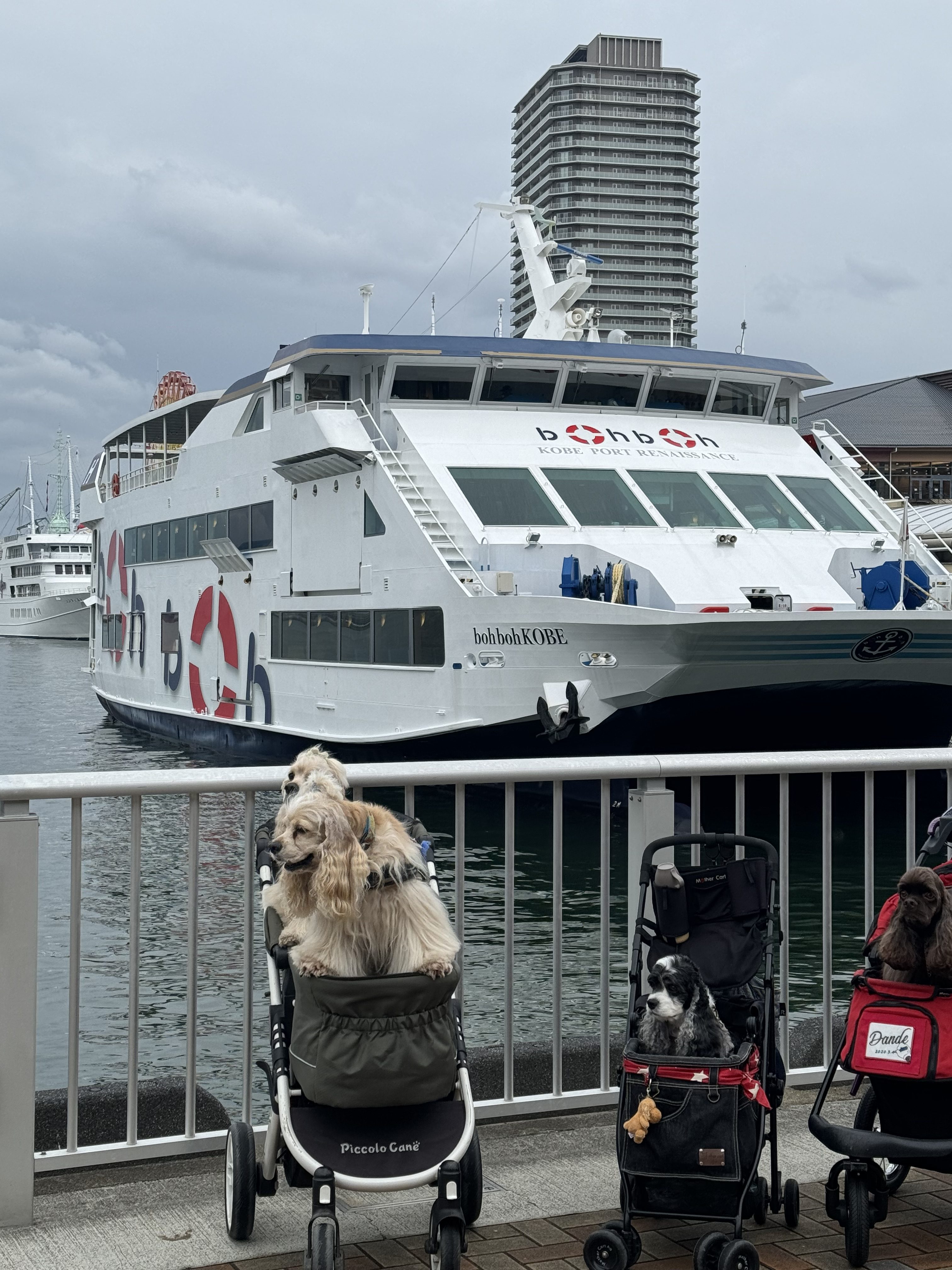 2024 神戸湾クルーズわらわら会