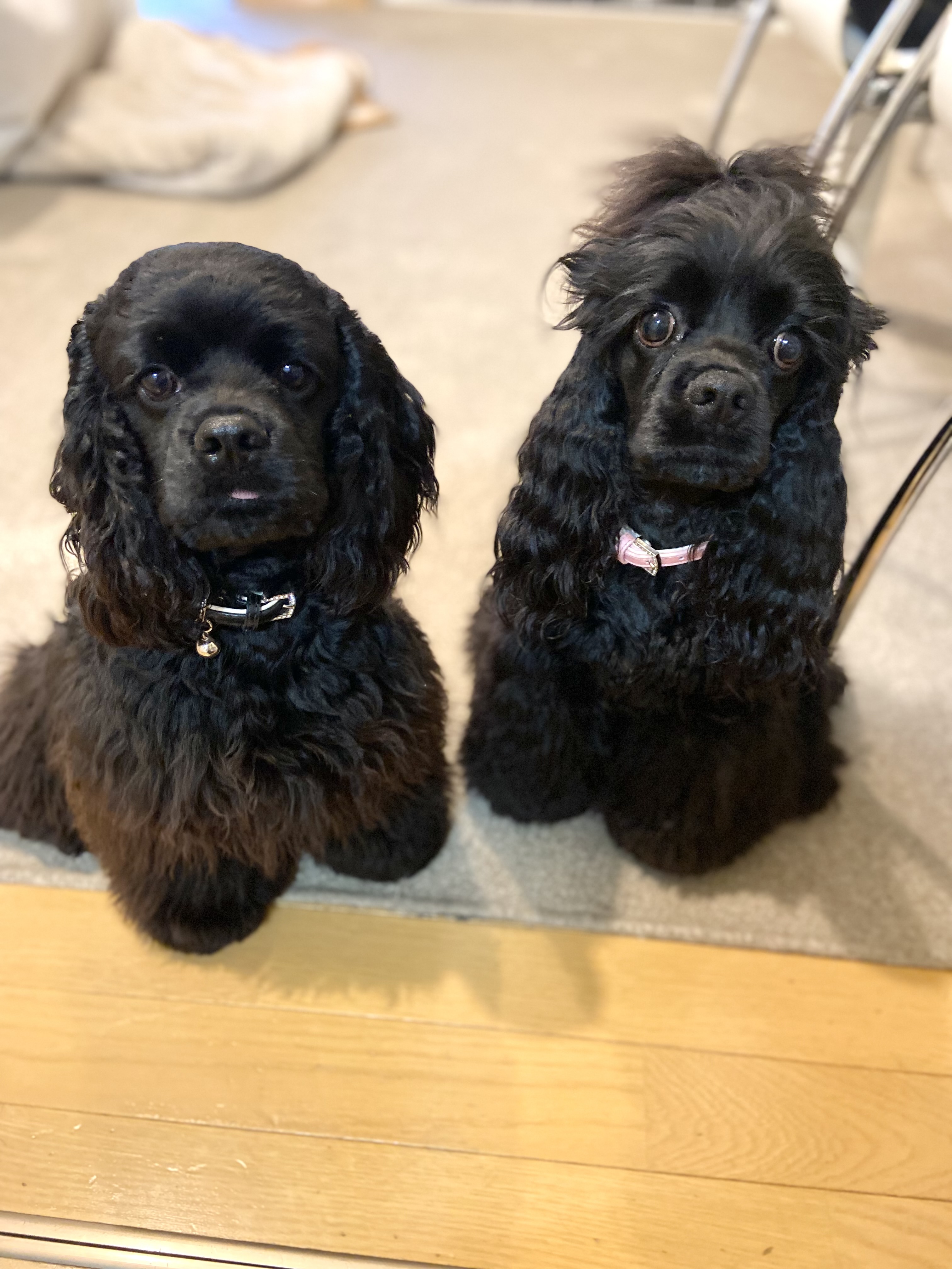 ルビ♡ロアママ