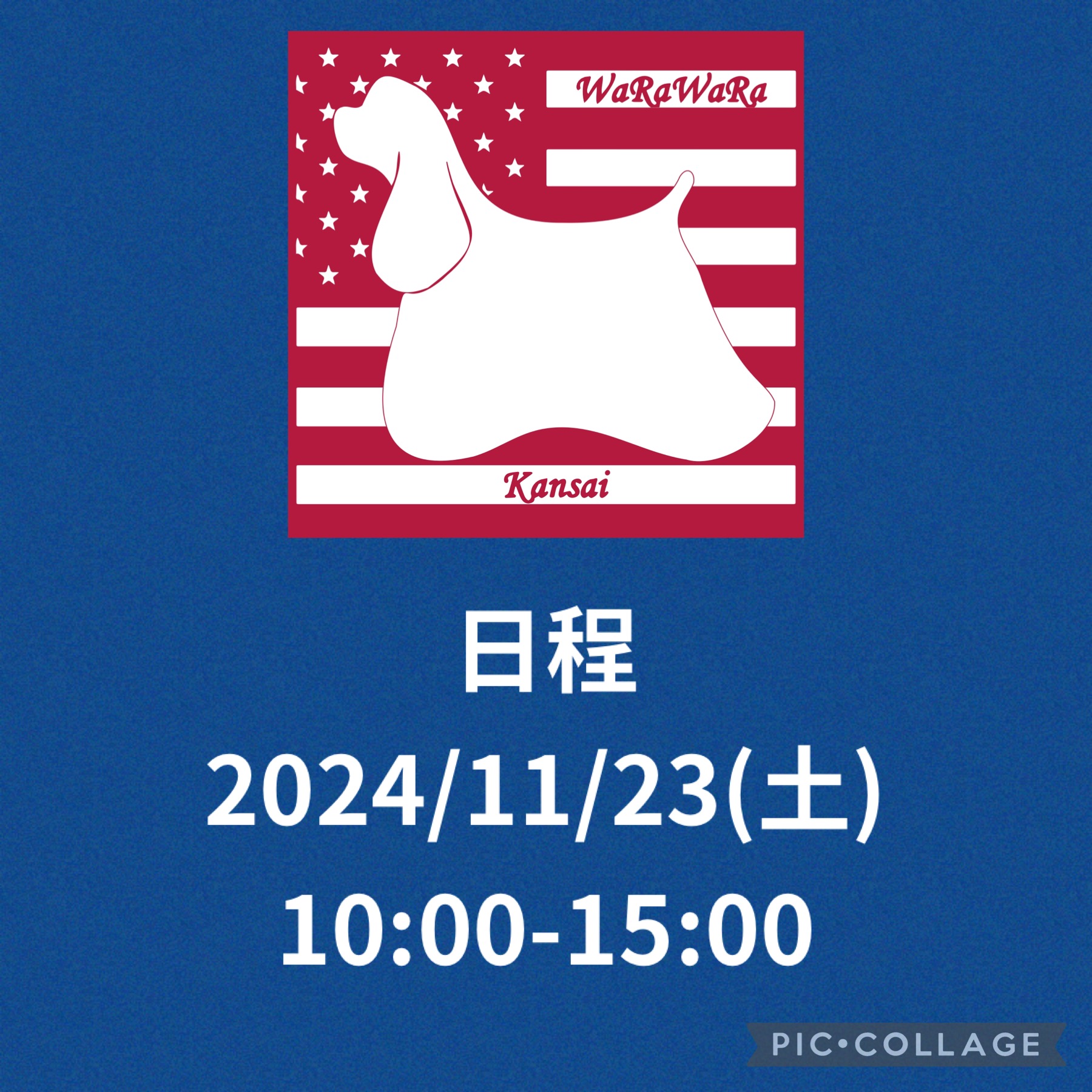 2024年秋のわらわら会