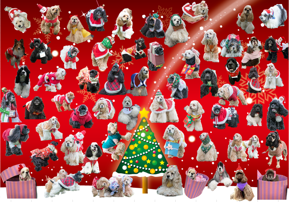 2024年クリスマスわらわら会