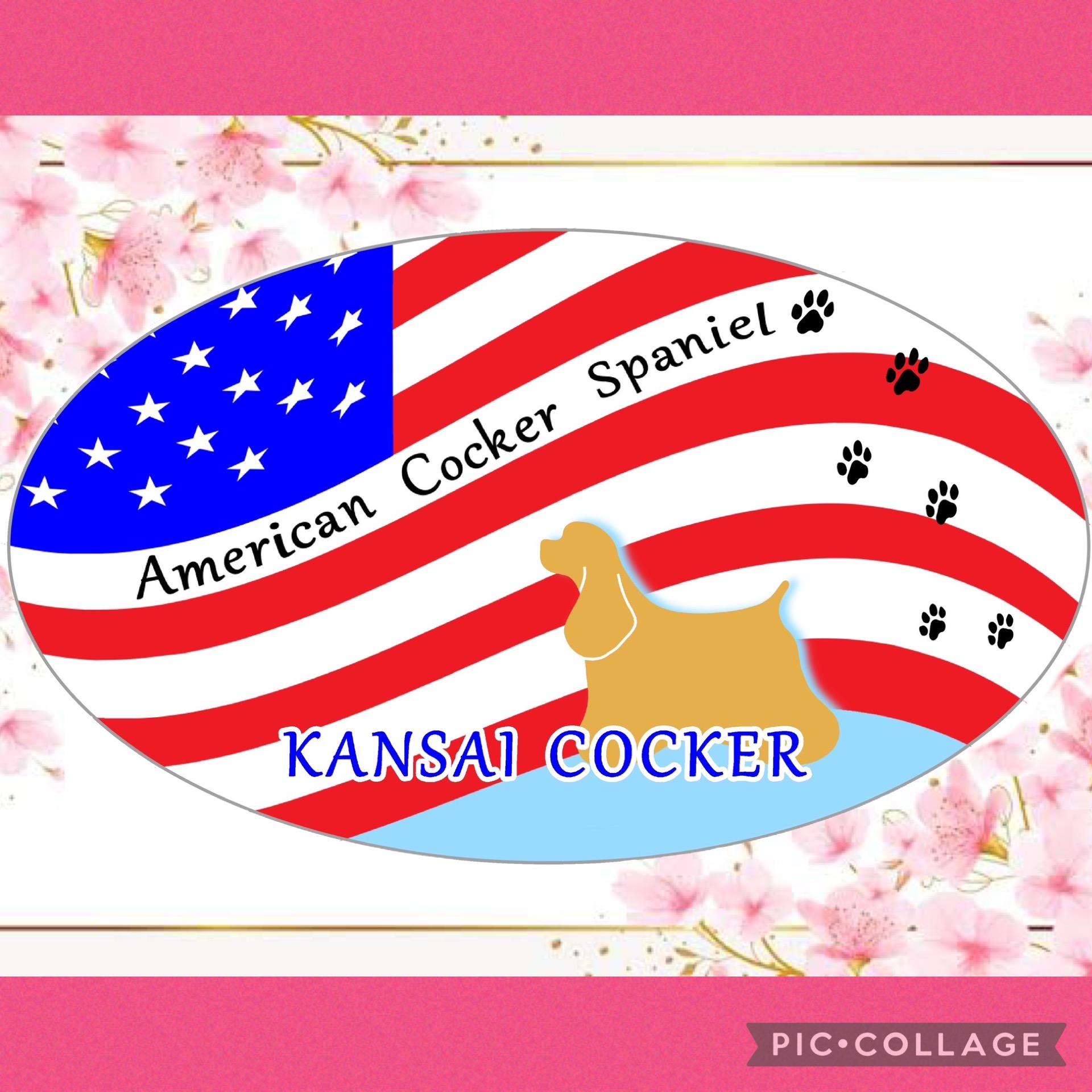 2025春わらわら会