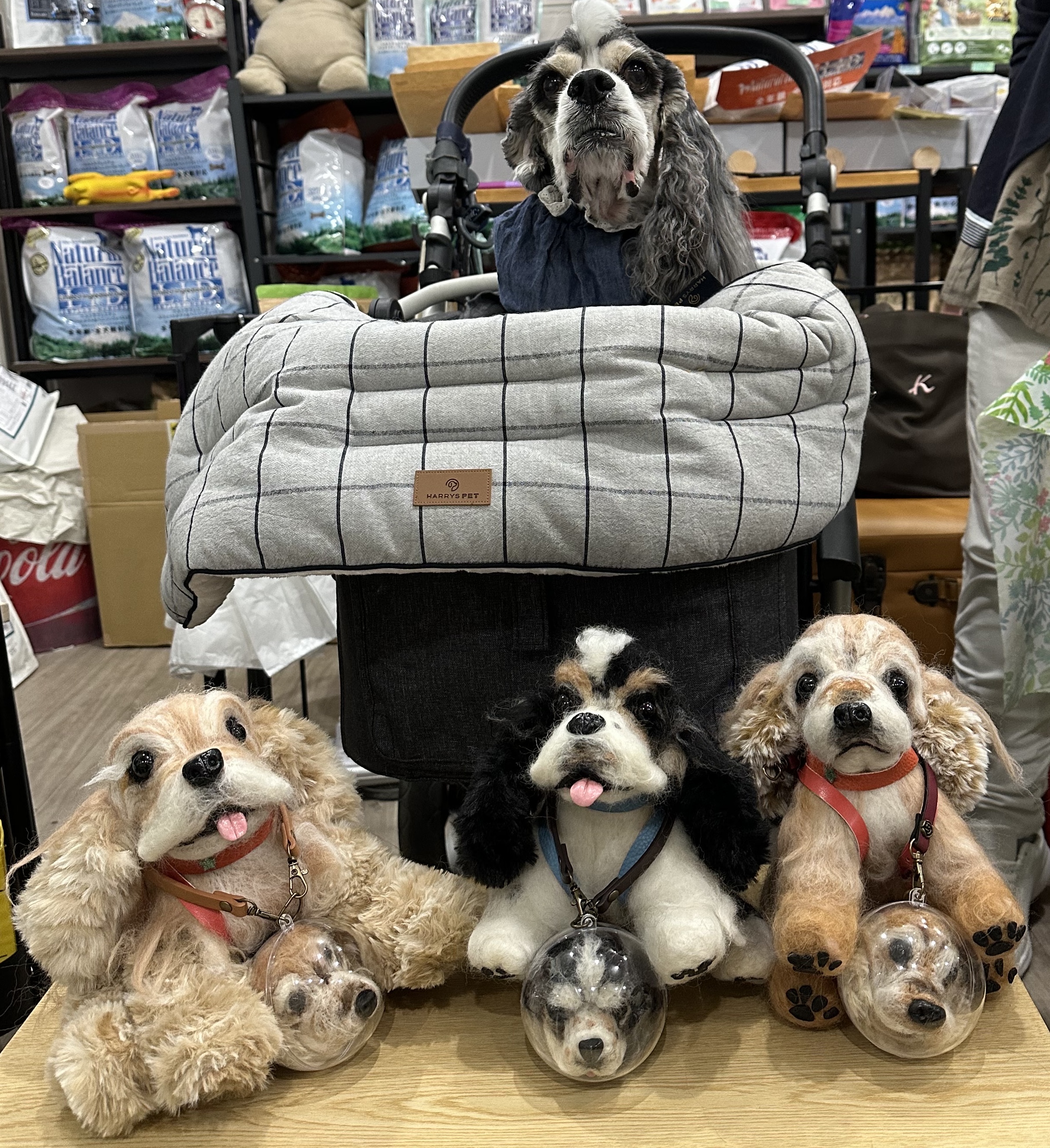 濱口　琴子（はまぐち　きんこ）