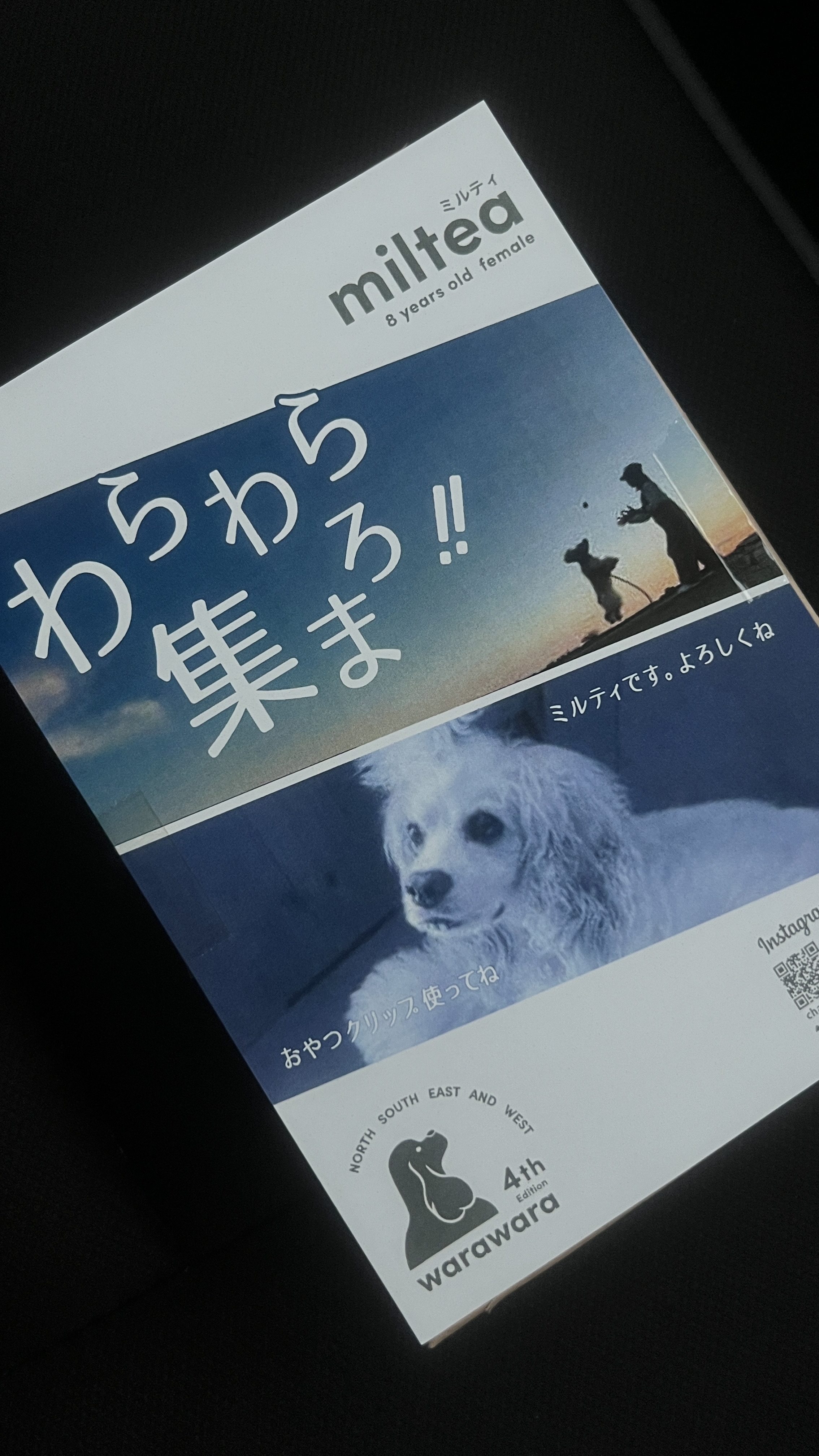 chachae. ちゃちゃえ