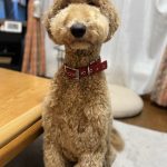 ユイット