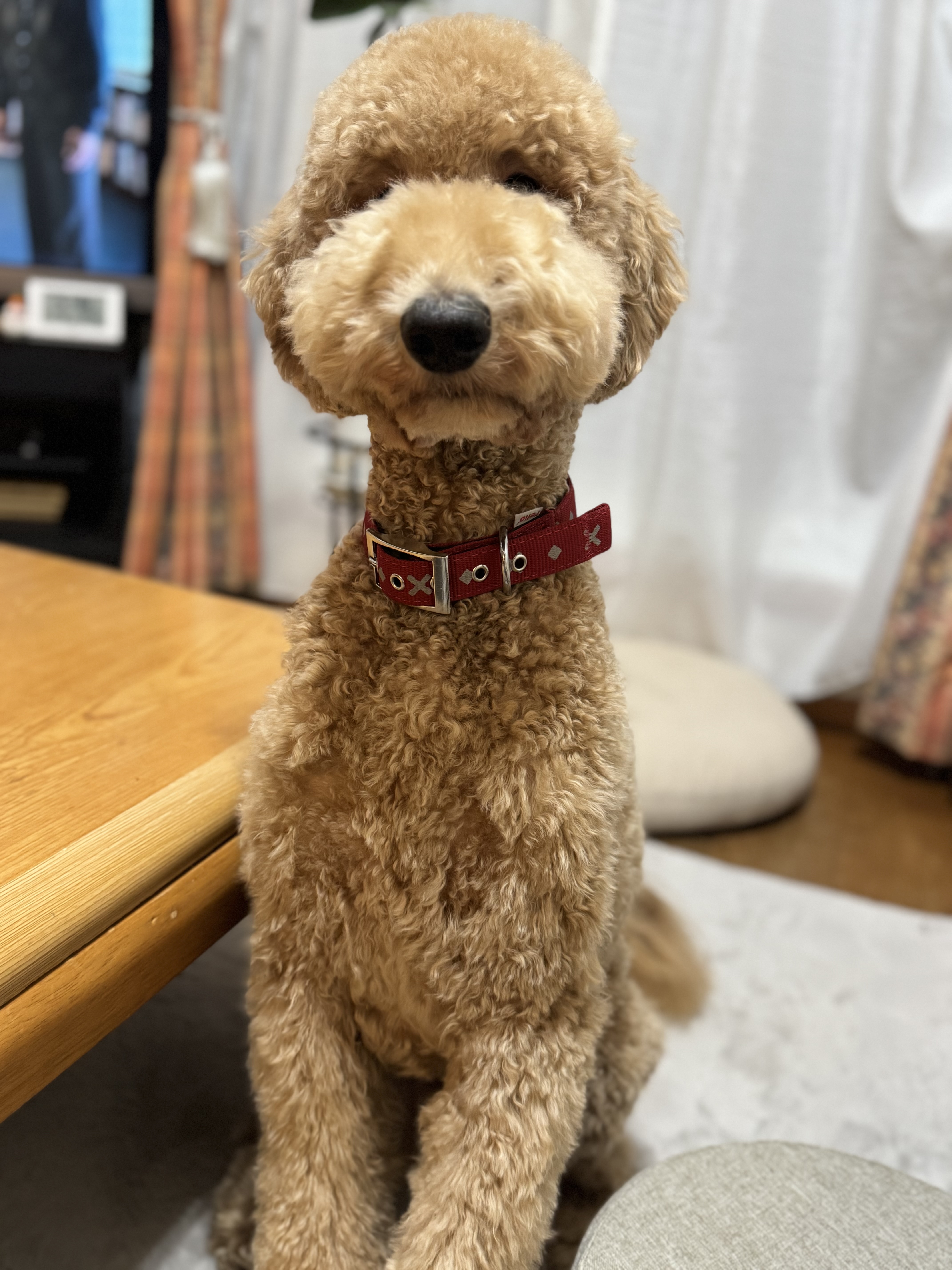 ユイット