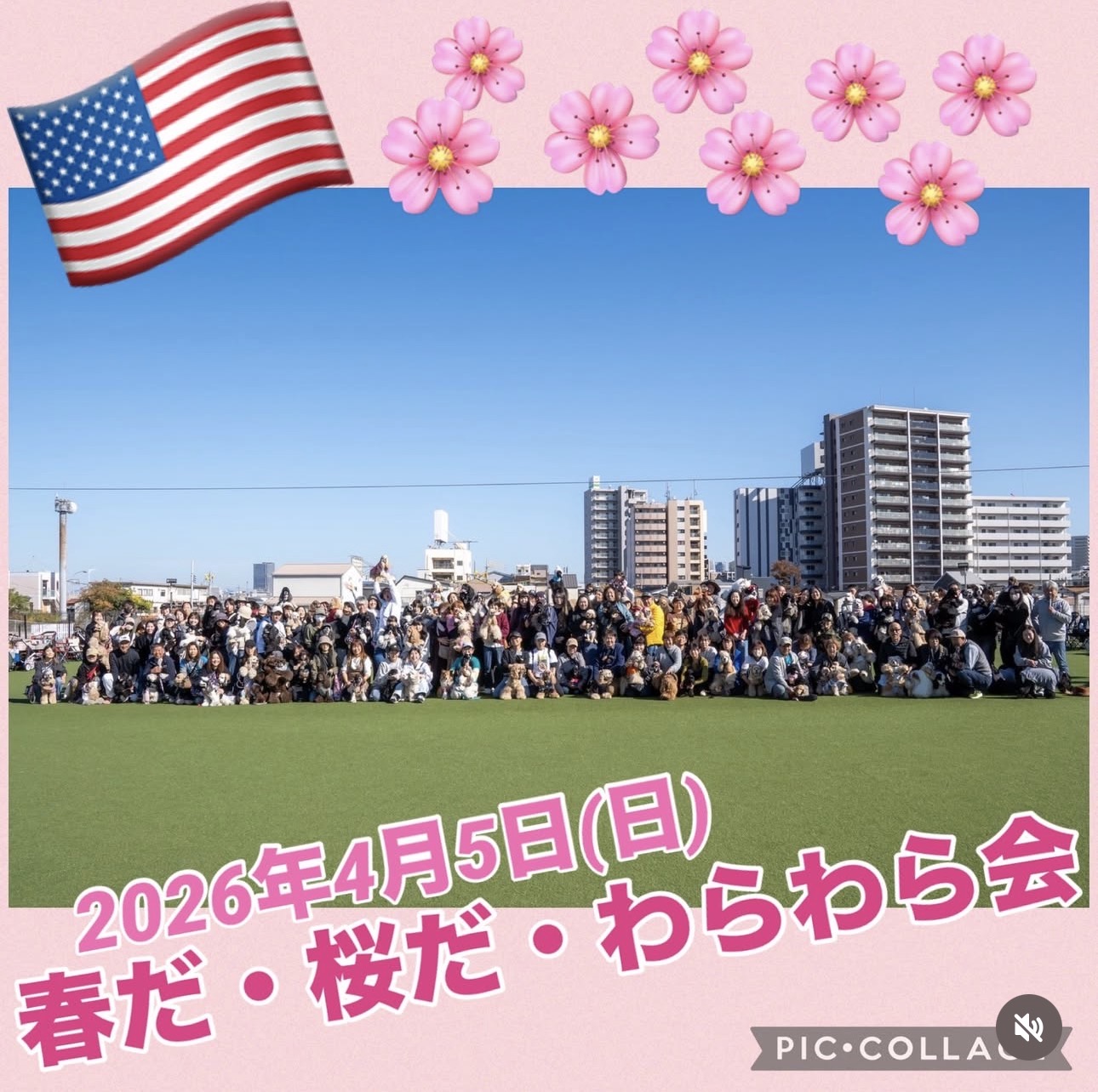 2026年春のわらわら会