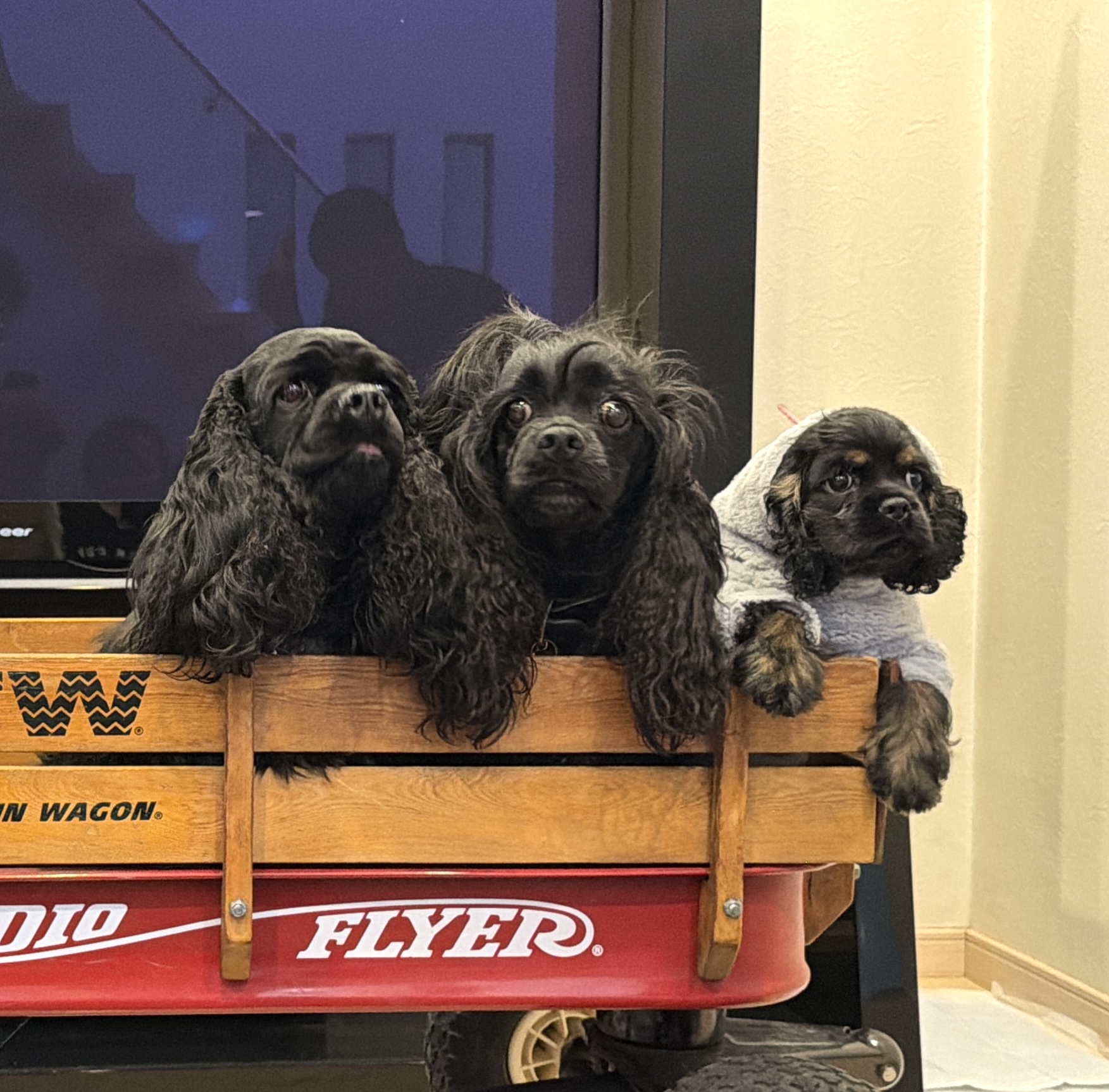 ルビ♡ロア♡ラウ