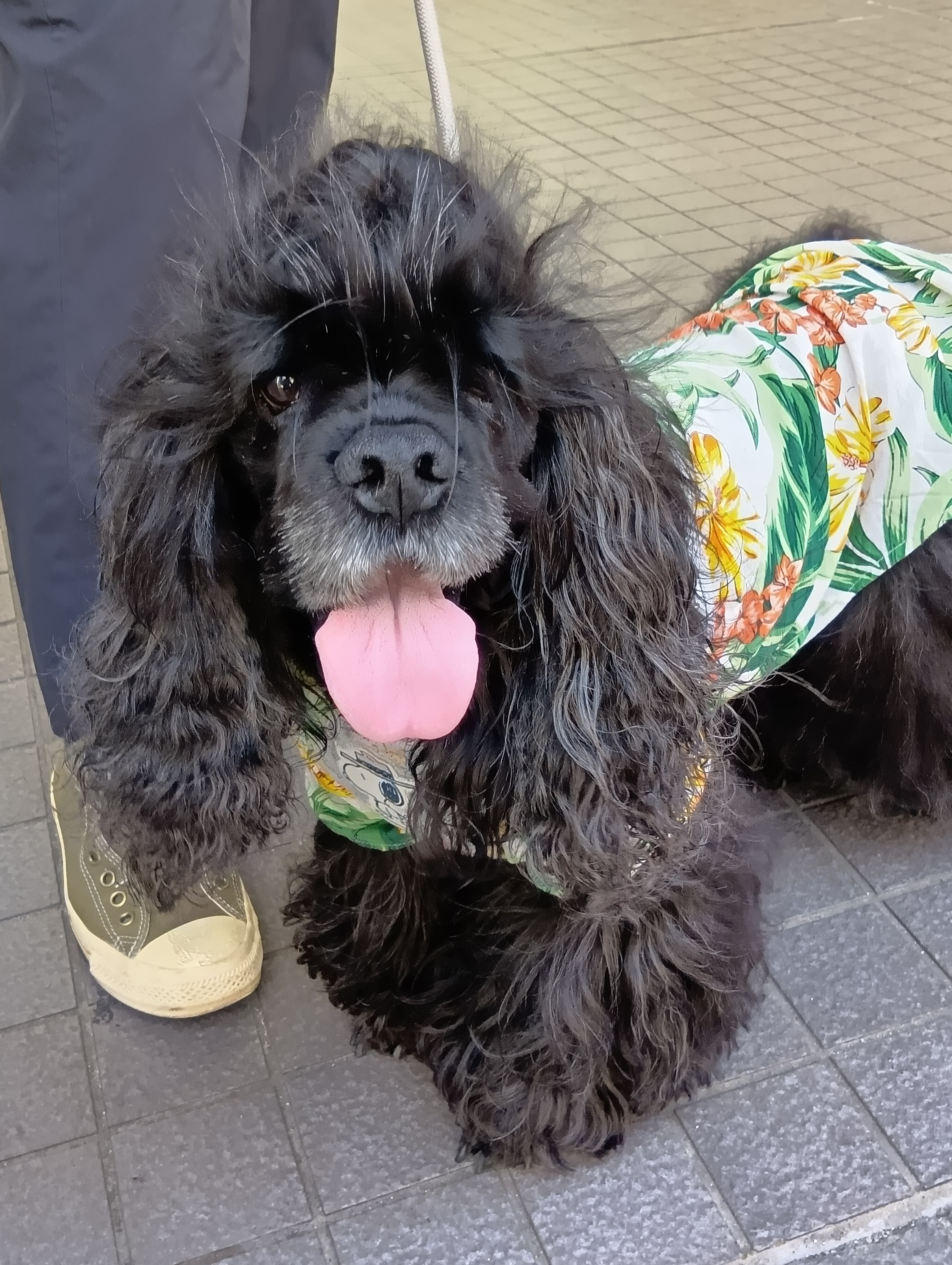 デコ（NatureBoy）