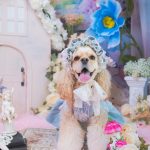 ジュディ